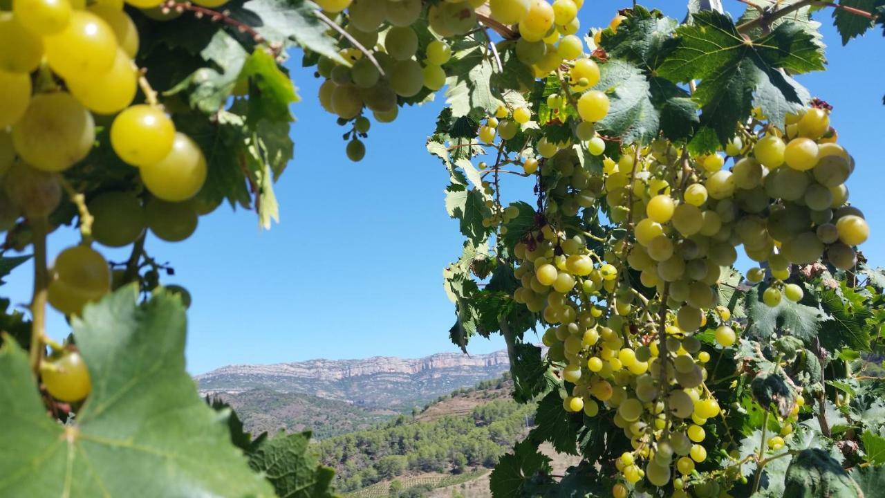 Torroja Cal Alemany 아파트 외부 사진